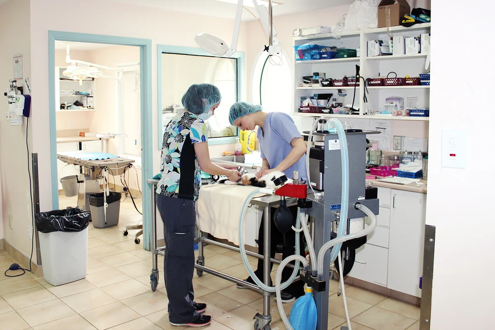Clinique Vétérinaire Eardley — photo 4